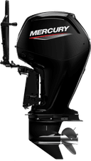 FourStroke 75