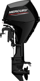 FourStroke 25