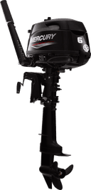FourStroke 6